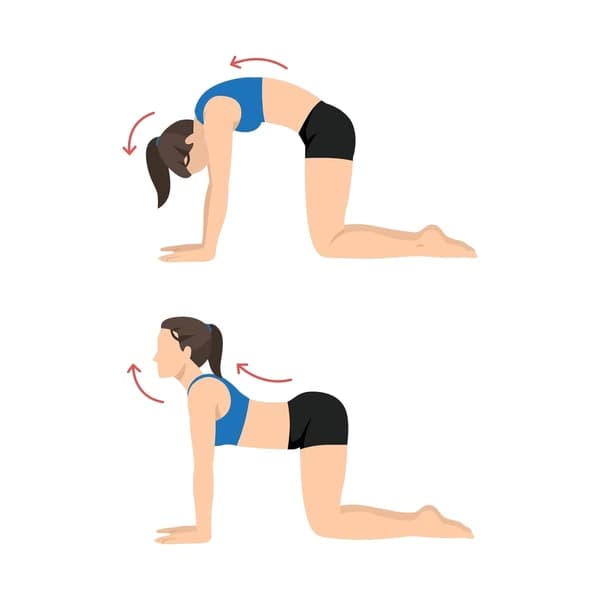 Cat-Cow Pose