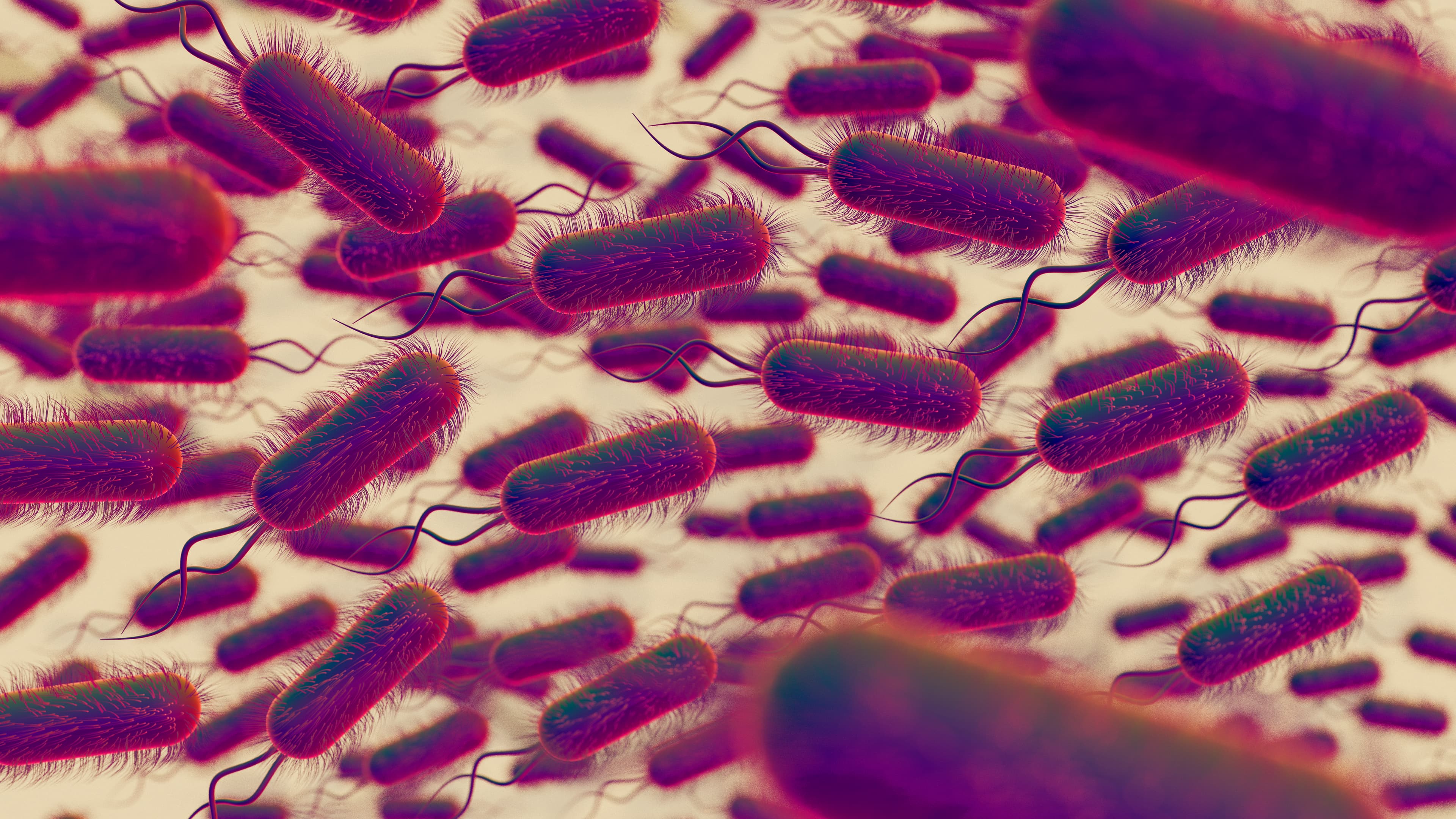 microbiome in pregnancy