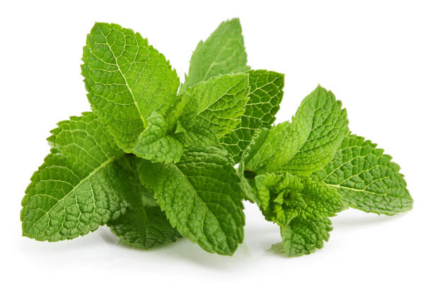 Herbal Remedies